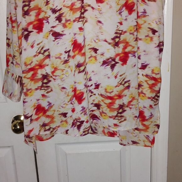 Terra & Sky  multicolor  sheer tunic blouse top  Sz 4X - Picture 2 of 5